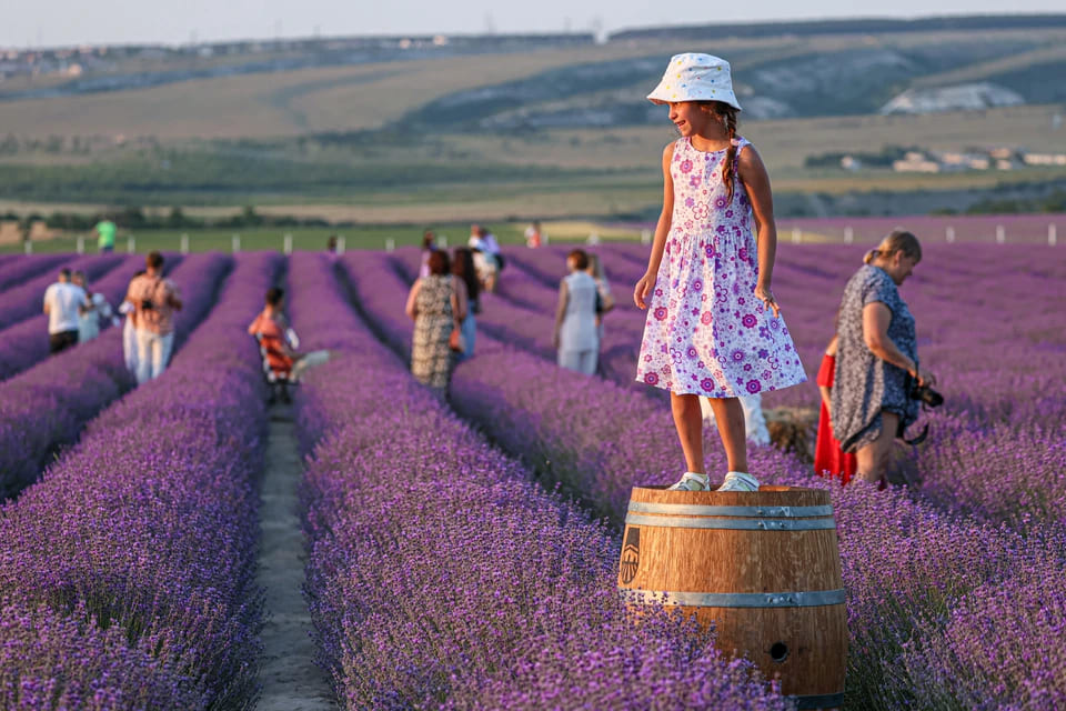 Colonia de lavanda para que sirve