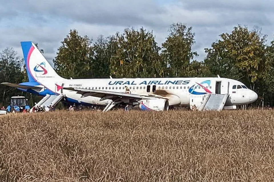 Самолëт Airbus A320, летевший из Сочи в Омск, совершил аварийную посадку на поле в Новосибирской области
